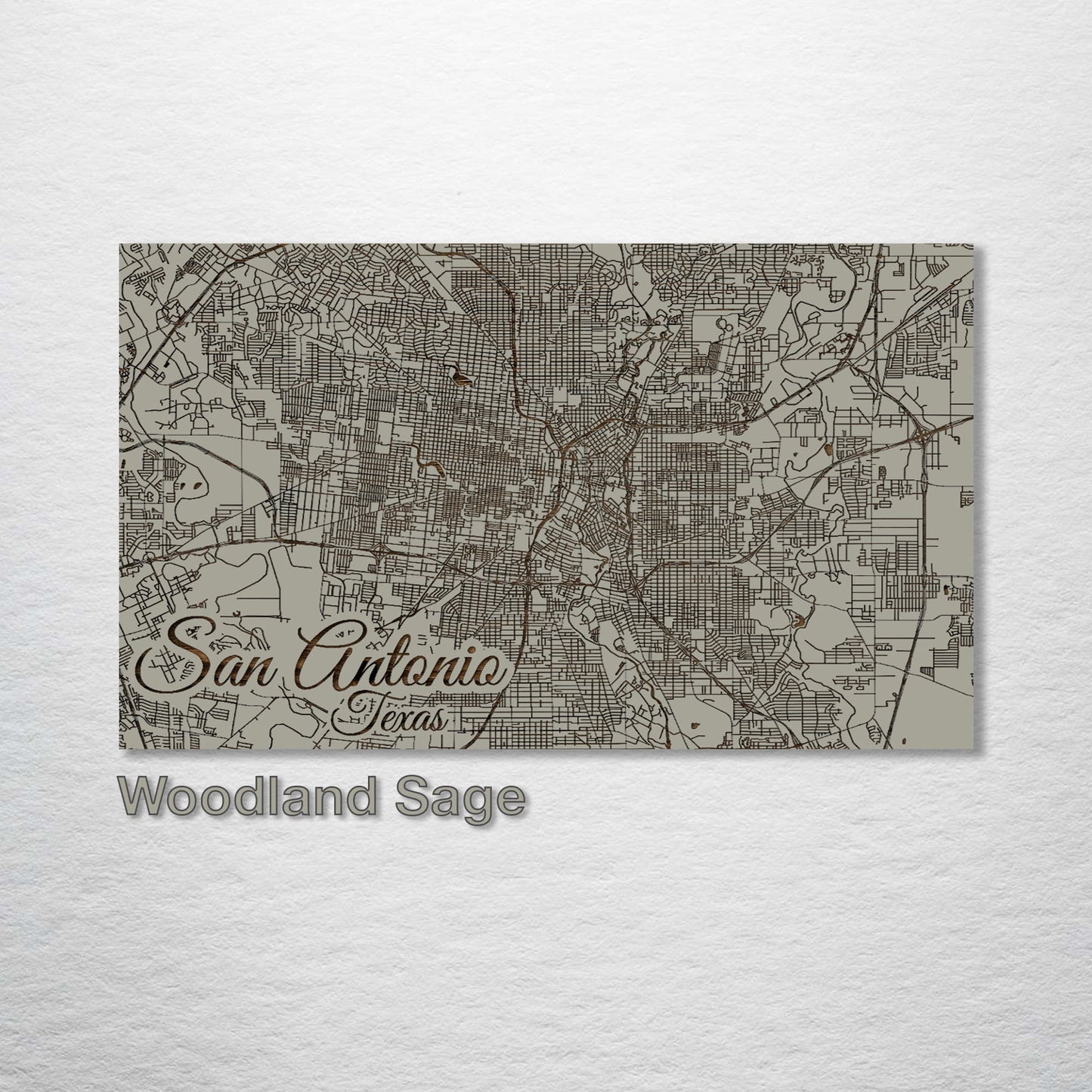 San Antonio, Texas Street Map