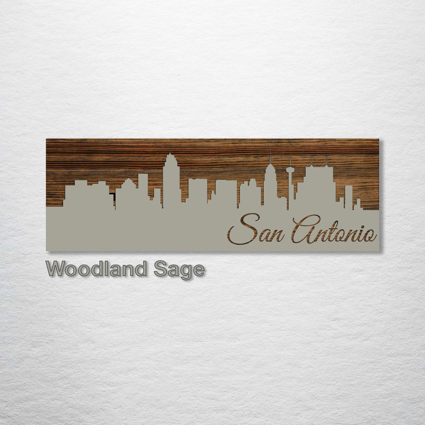 San Antonio, Texas Skyline