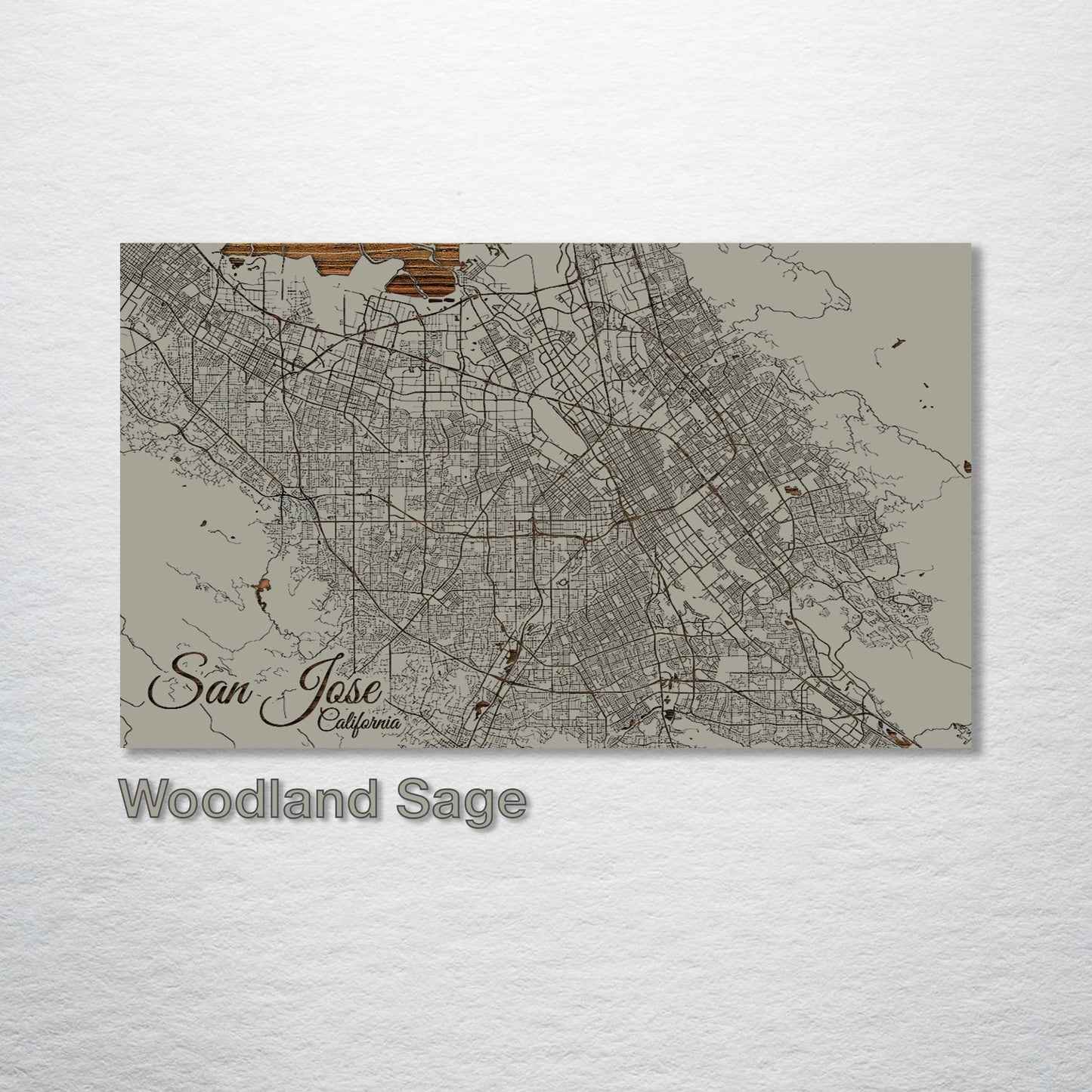 San Jose, California Street Map