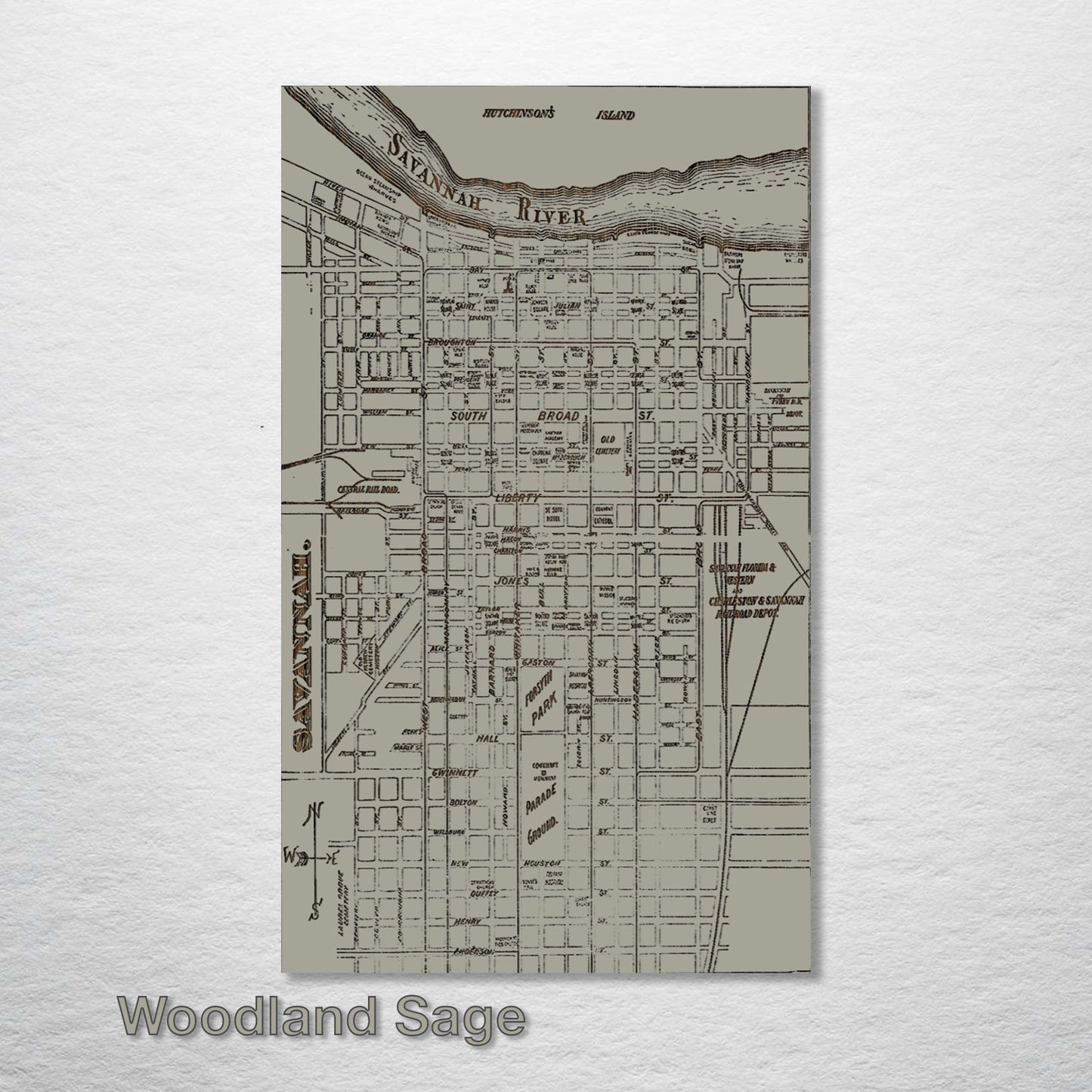 Savannah, Georgia 1890