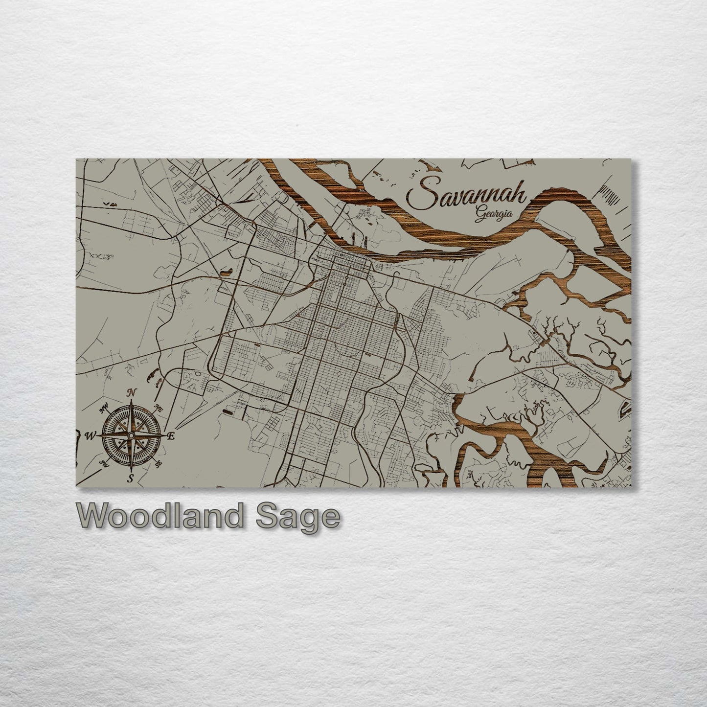 Savannah, Georgia Street Map