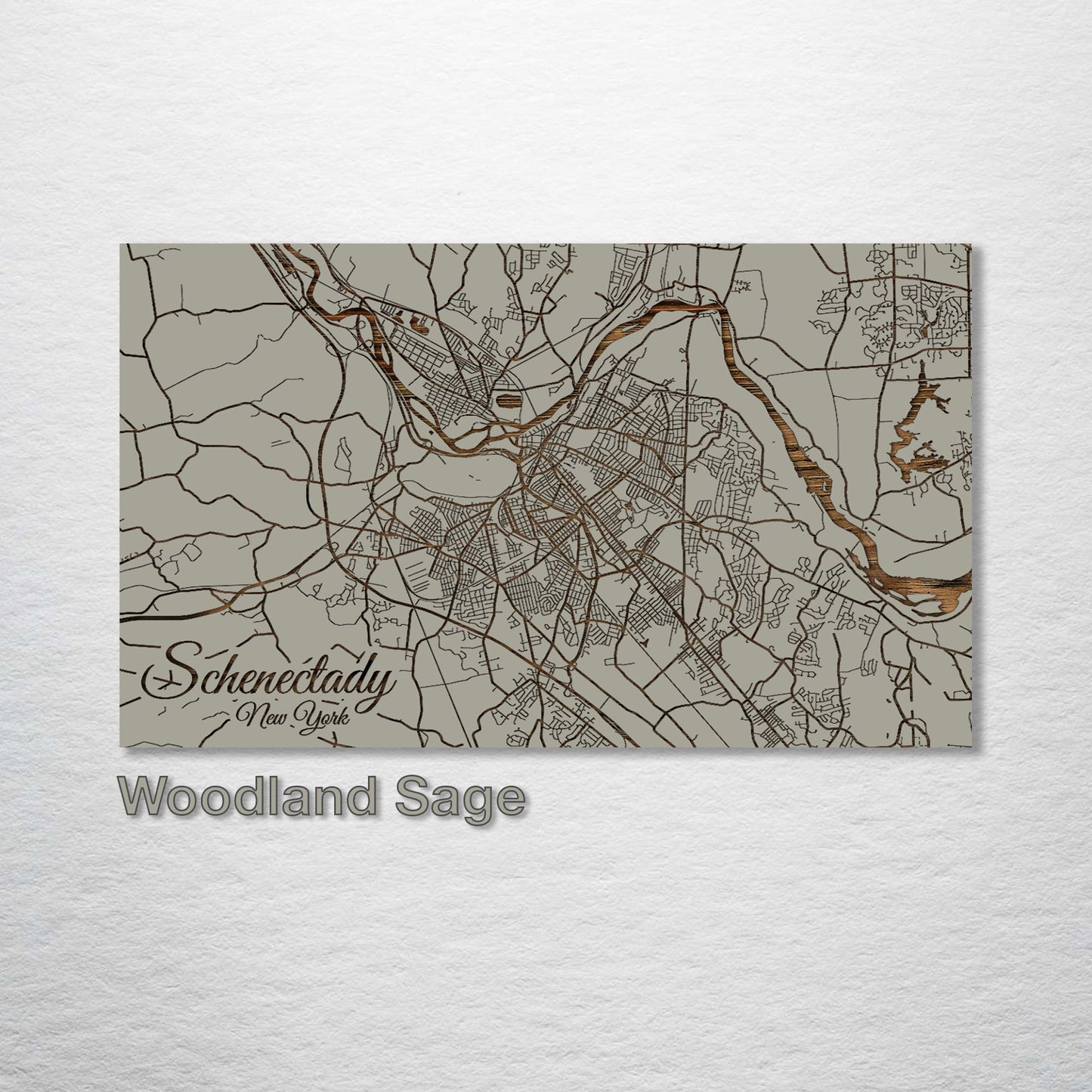 Schenectady, New York Street Map