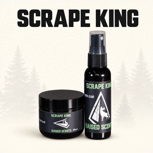 Scrape King | Buck Preorbital Gland