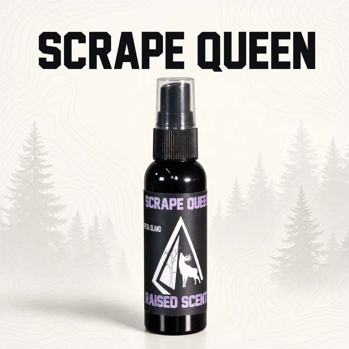 The Elite Package | All Scents All Seasons