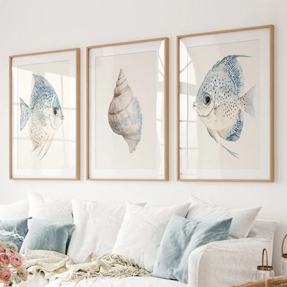 Trendy Nautical Wall Art Set of 3. Seashell and Fishes Posters