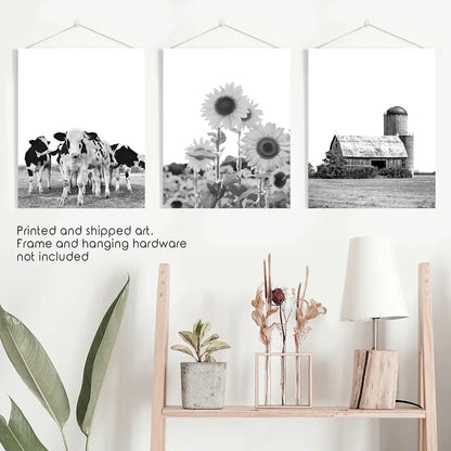 Rustic Black White Wall Art Set. Cows, Sunflowers, Old Barn