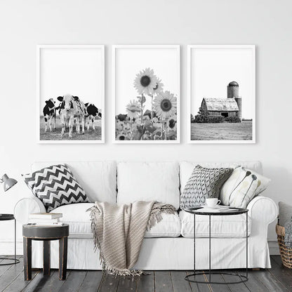 Rustic Black White Wall Art Set. Cows, Sunflowers, Old Barn