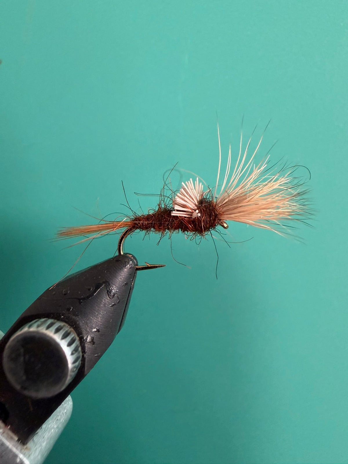Shaving Brush