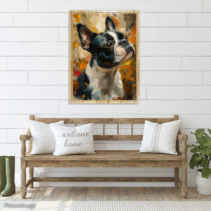 Olive the Boston Terrier