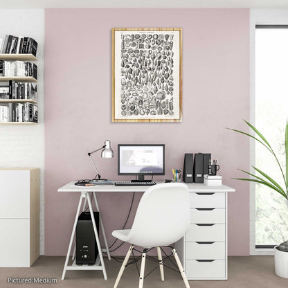 Organic Remains by Oliver Goldsmith