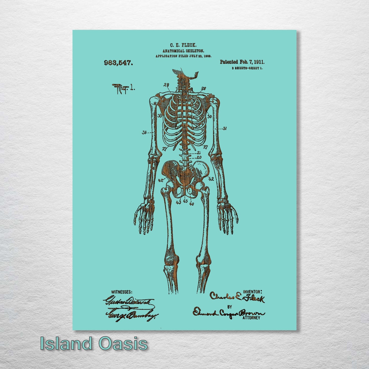 1911 Anatomical Skeleton Patent