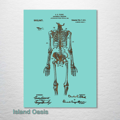 1911 Anatomical Skeleton Patent
