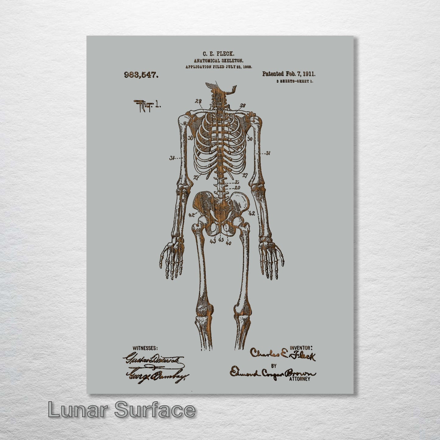 1911 Anatomical Skeleton Patent