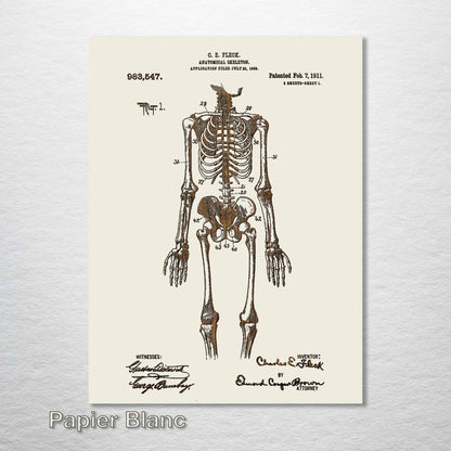 1911 Anatomical Skeleton Patent