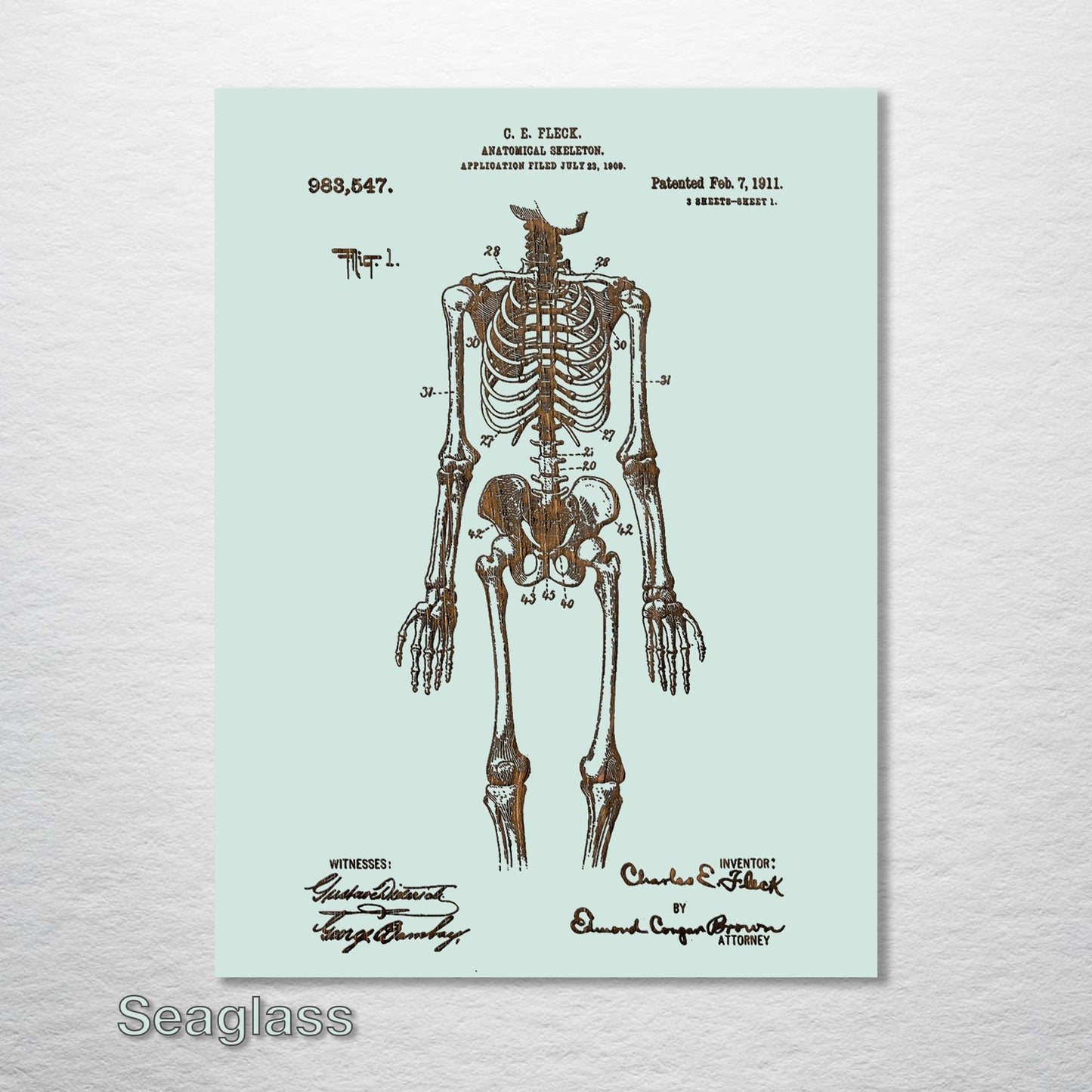 1911 Anatomical Skeleton Patent