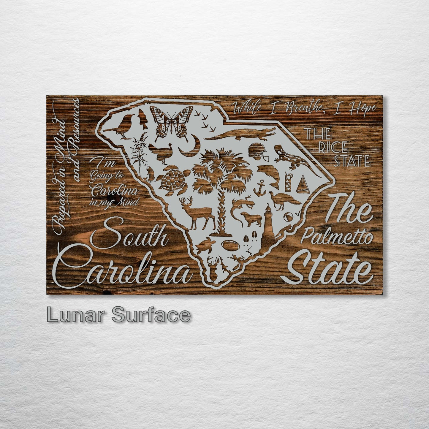 South Carolina Abstract