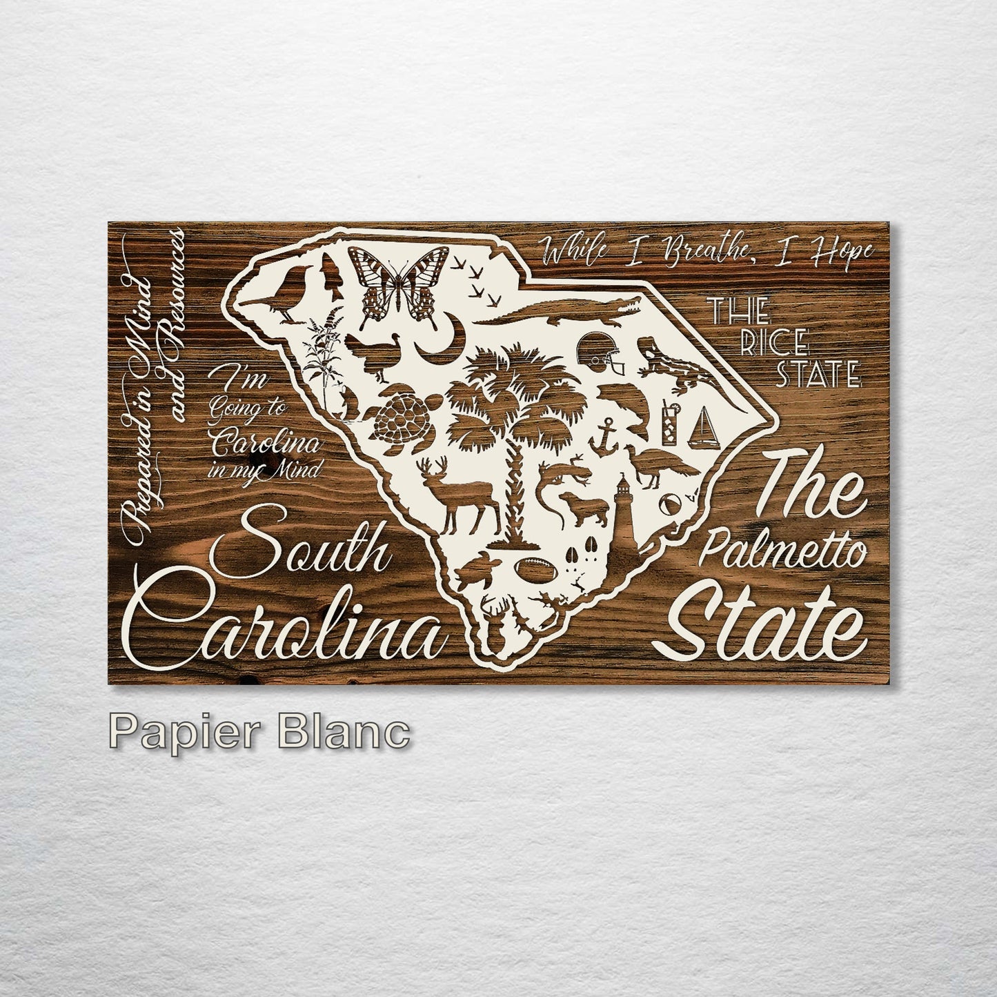 South Carolina Abstract