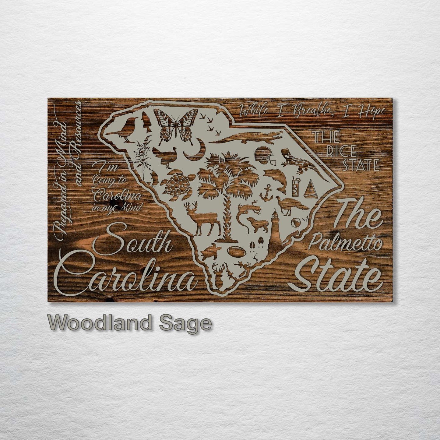 South Carolina Abstract