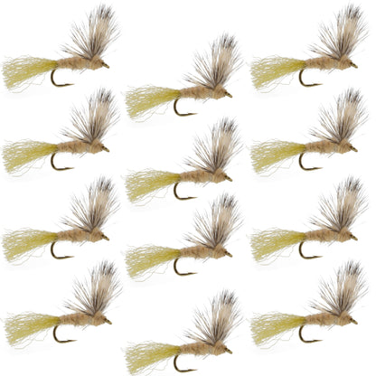 Sparkle Dun Callibaetis Mayfly - 12 Flies Hook size 16