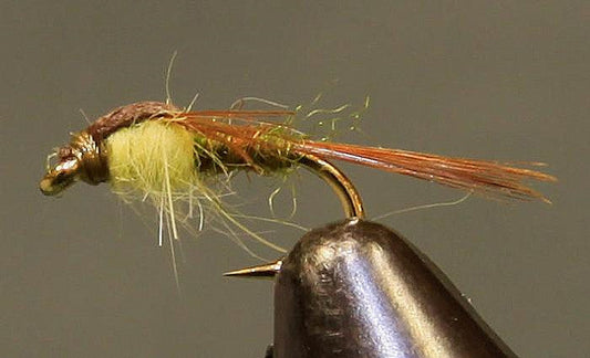 Split Foam Back™ - PMD