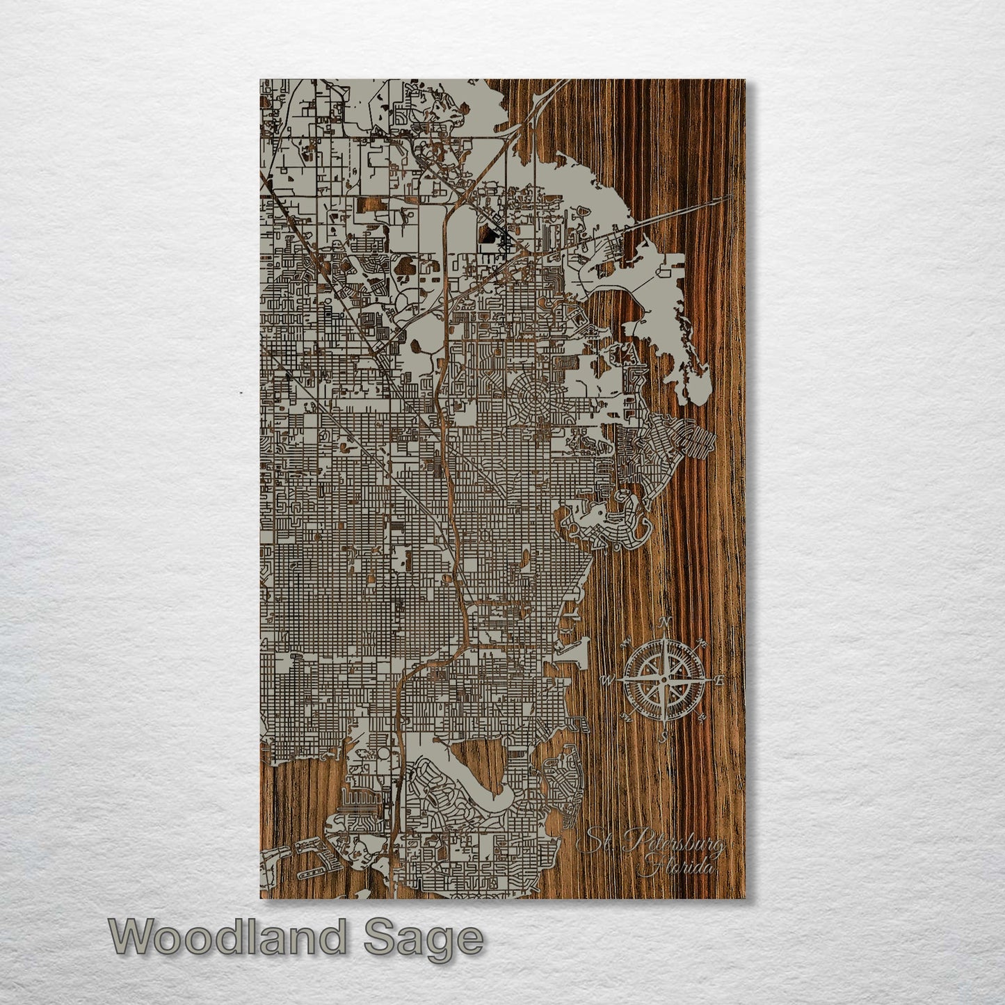 St. Petersburg, Florida Street Map