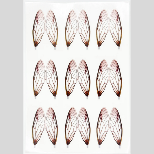 Surface Seducer® Cicada Wings