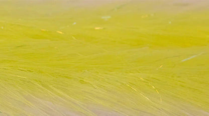 Designer Articulated Translucy Brush Combo