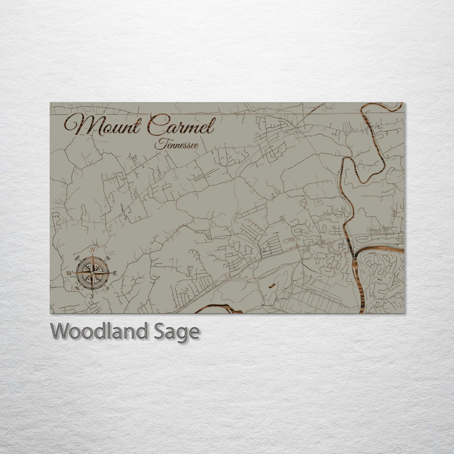 Mount Carmel, Tennessee Street Map