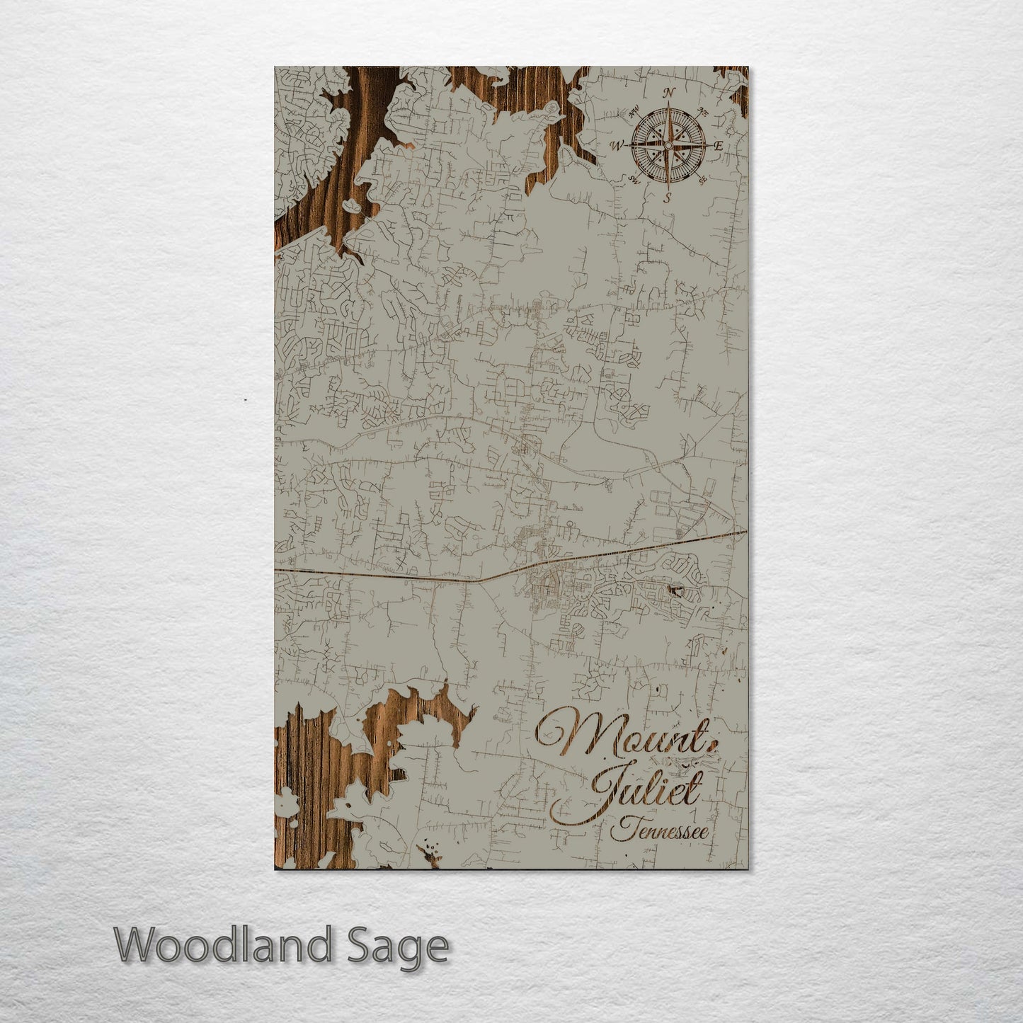 Mount Juliet, Tennessee Street Map