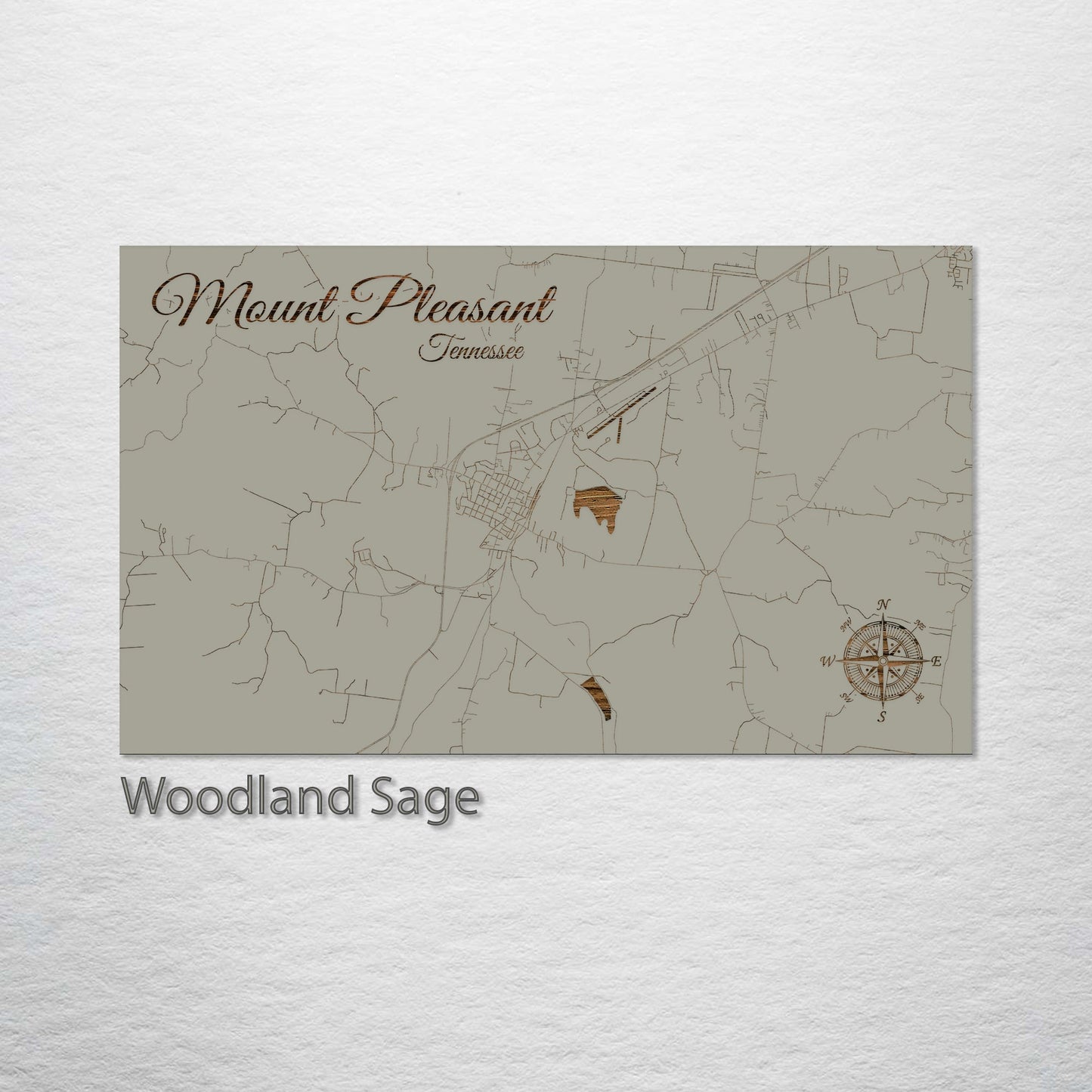 Mount Pleasant, Tennessee Street Map