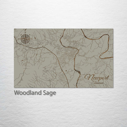 Newport, Tennessee Street Map