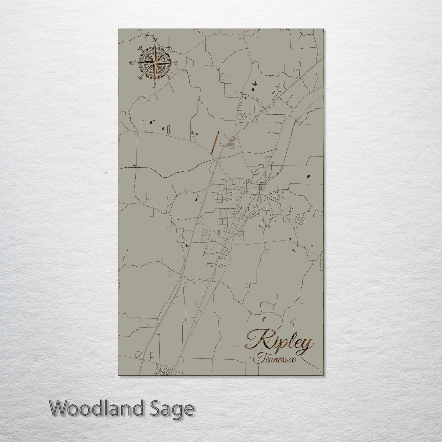 Ripley, Tennessee Street Map