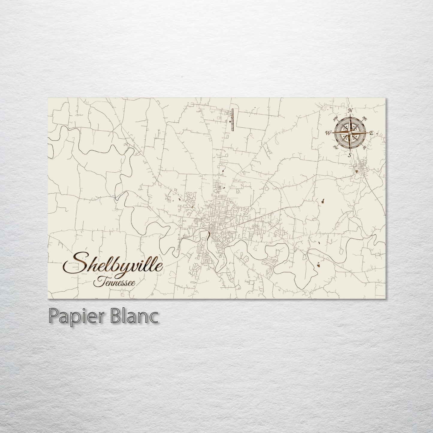 Shelbyville, Tennessee Street Map