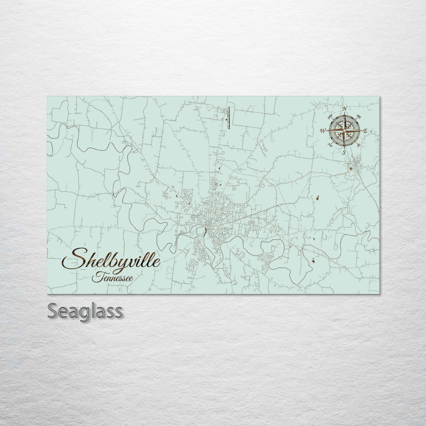 Shelbyville, Tennessee Street Map