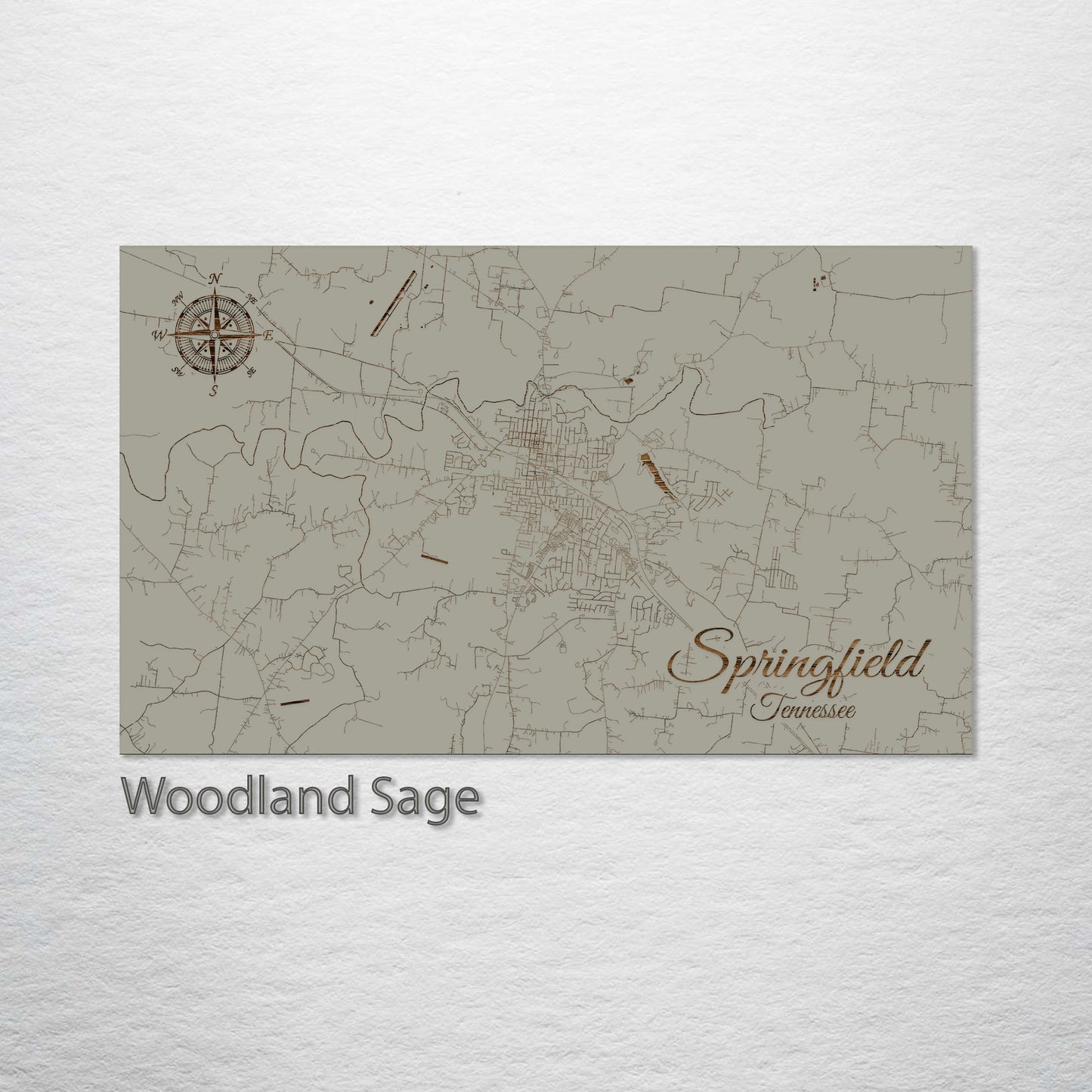 Springfield, Tennessee Street Map