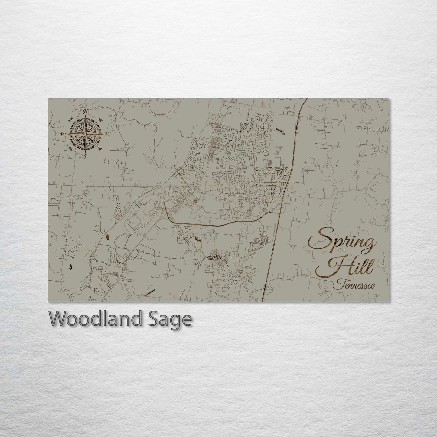 Spring Hill, Tennessee Street Map