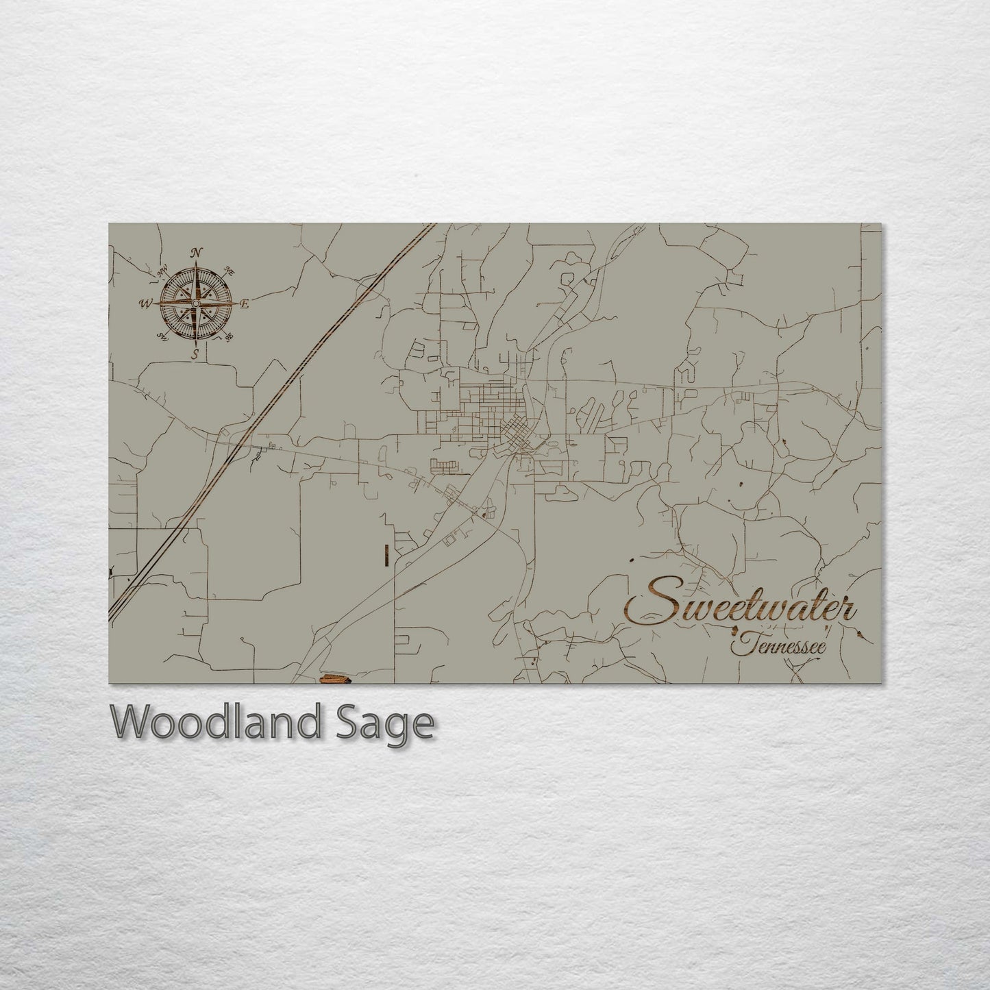 Sweetwater, Tennessee Street Map