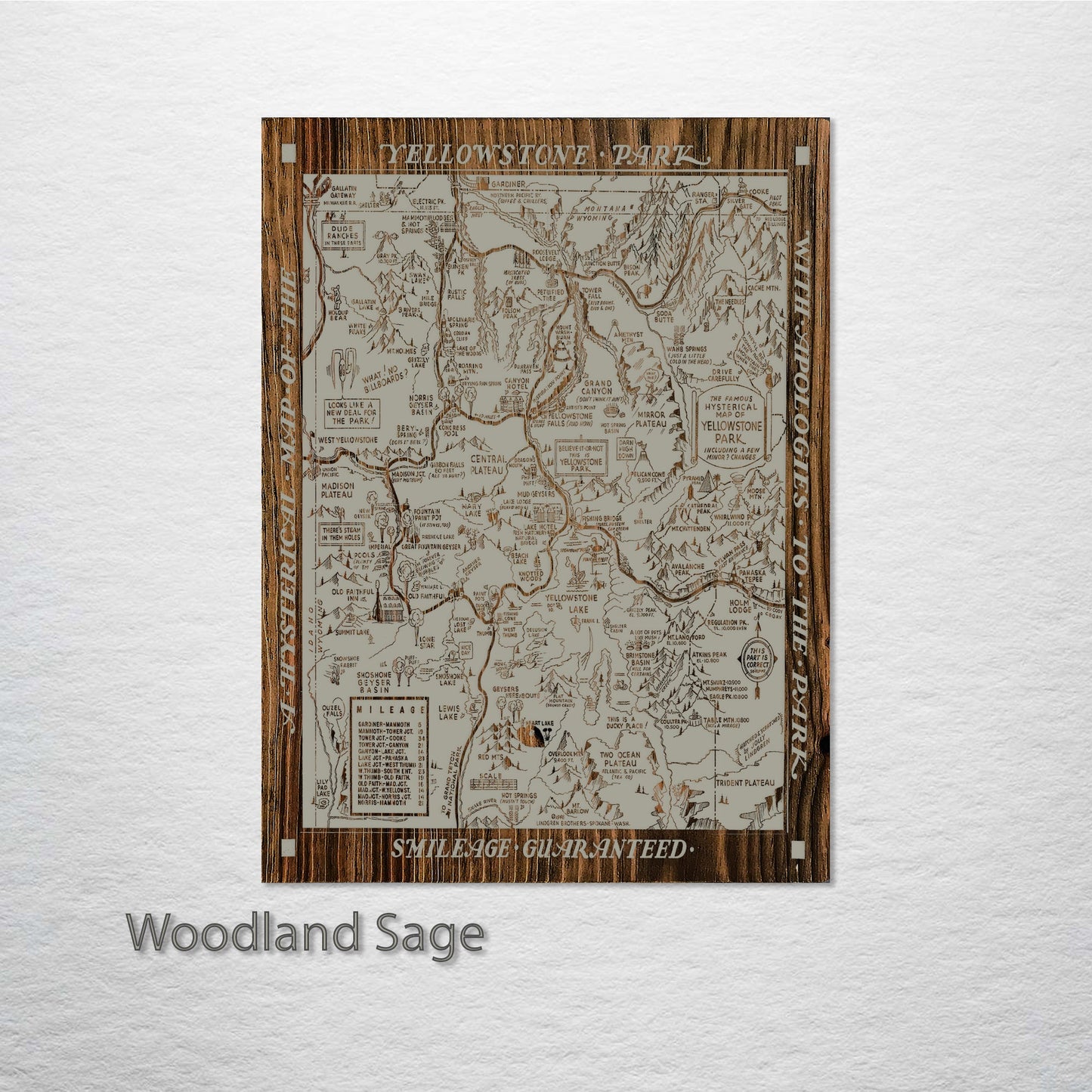 Yellowstone National Park, WY