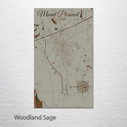 Mount Pleasant, Texas Street Map
