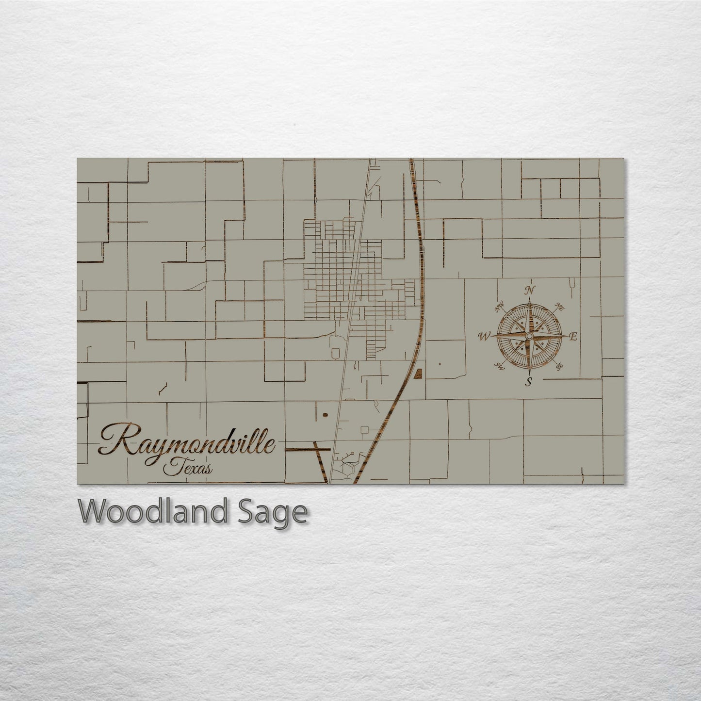 Raymondville, Texas Street Map