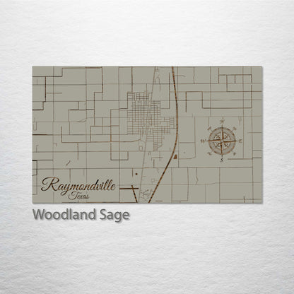 Raymondville, Texas Street Map