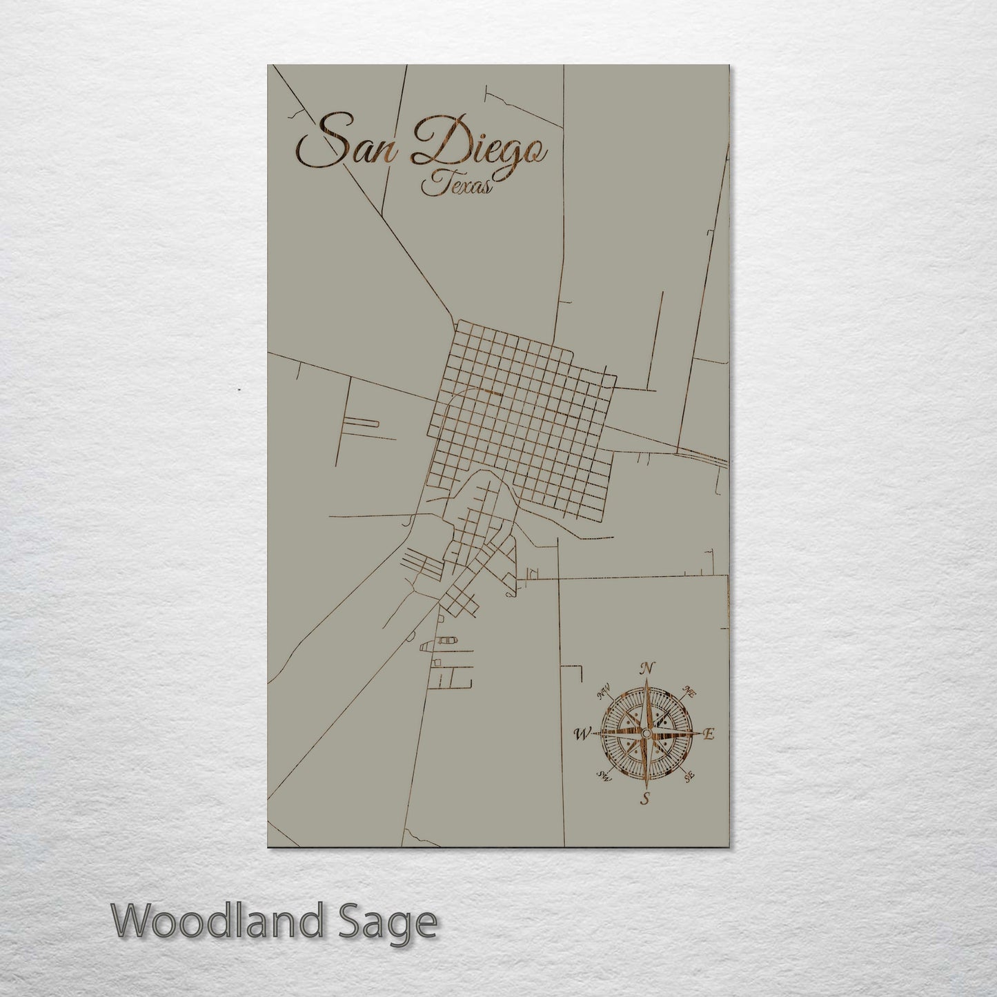 San Diego, Texas Street Map