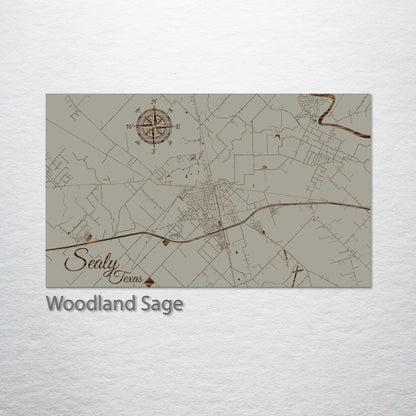 Sealy, Texas Street Map