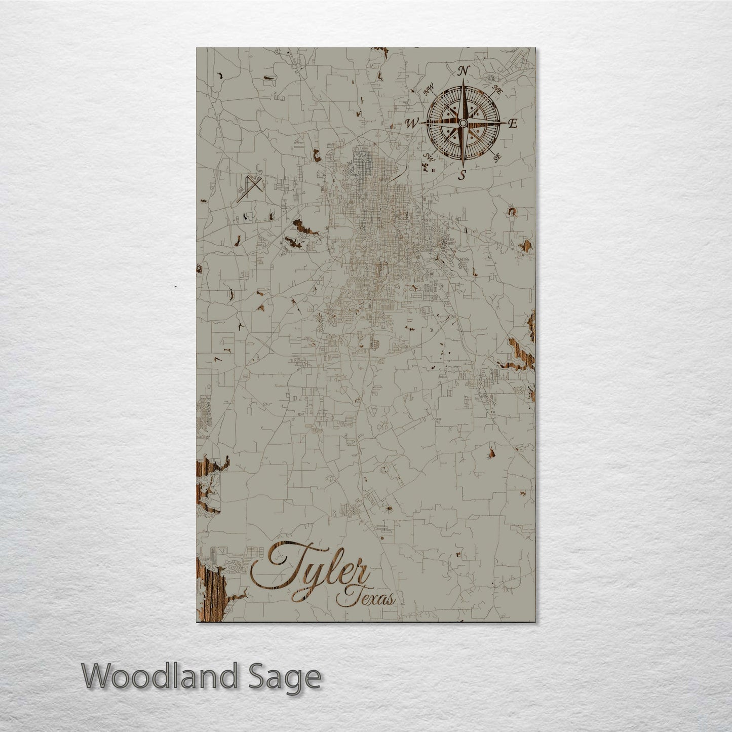 Tyler, Texas Street Map