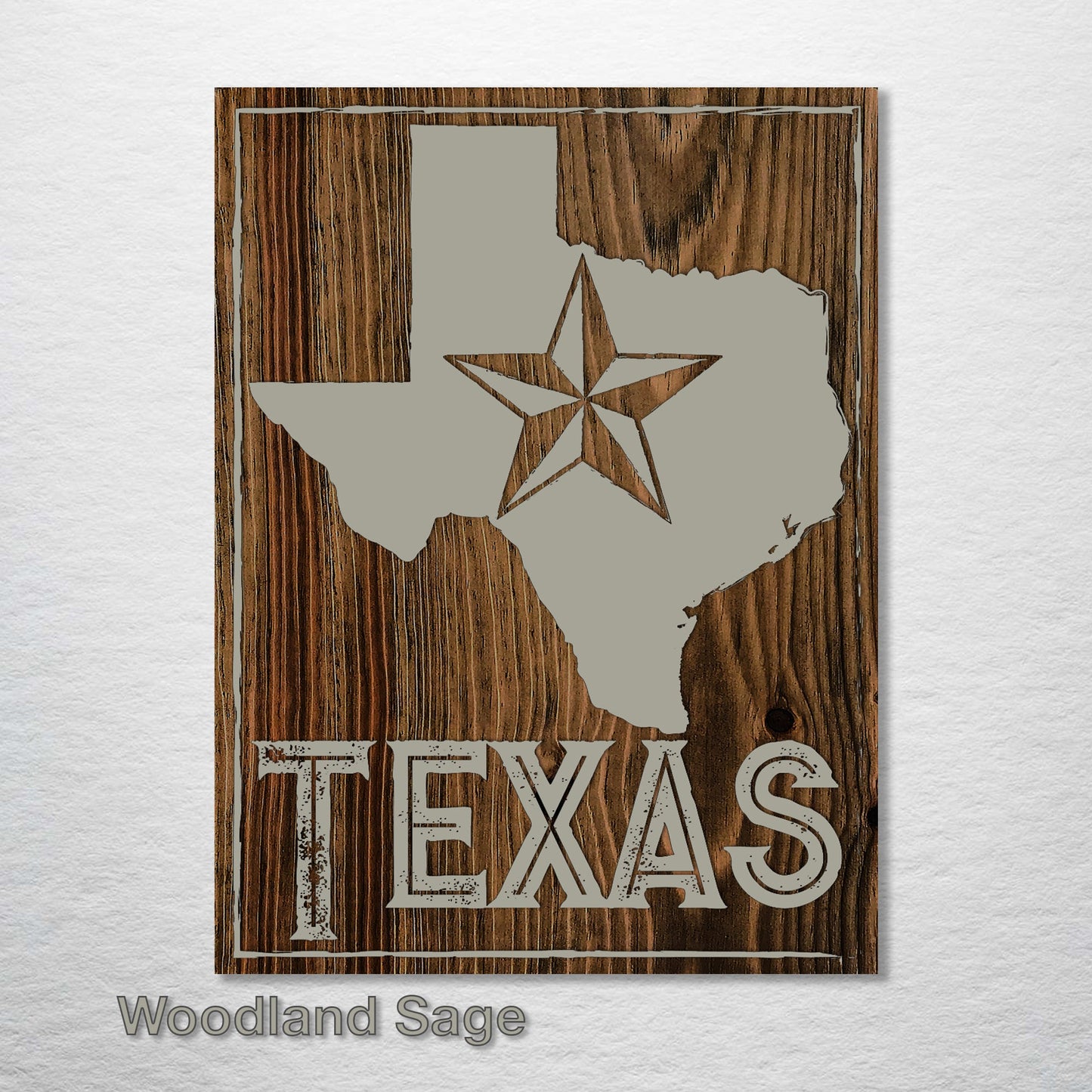 Texas Lonestar Abstract