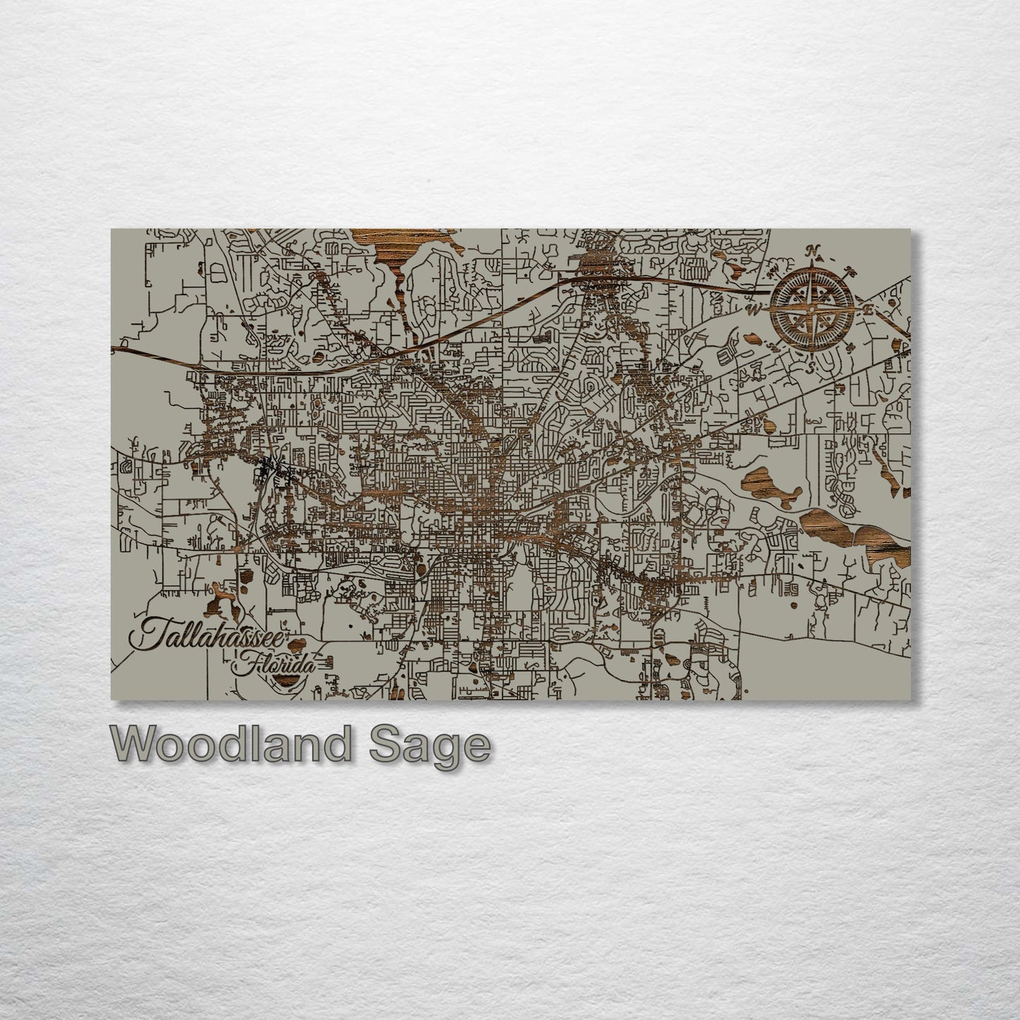 Tallahassee, Florida Street Map