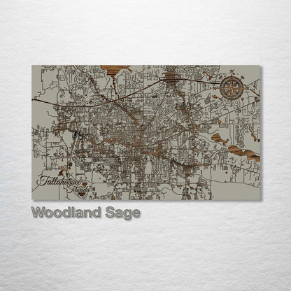 Tallahassee, Florida Street Map