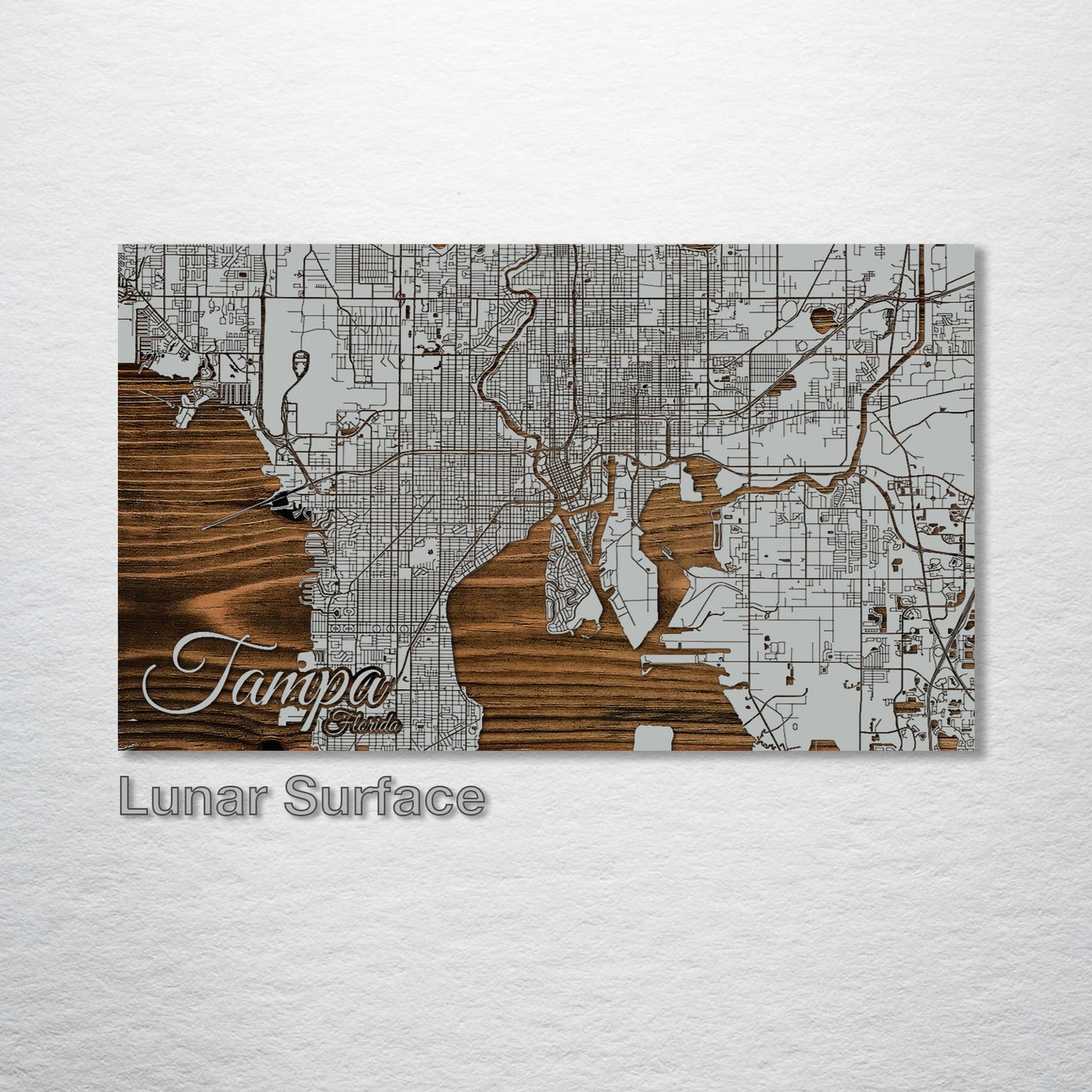 Tampa, Florida Street Map