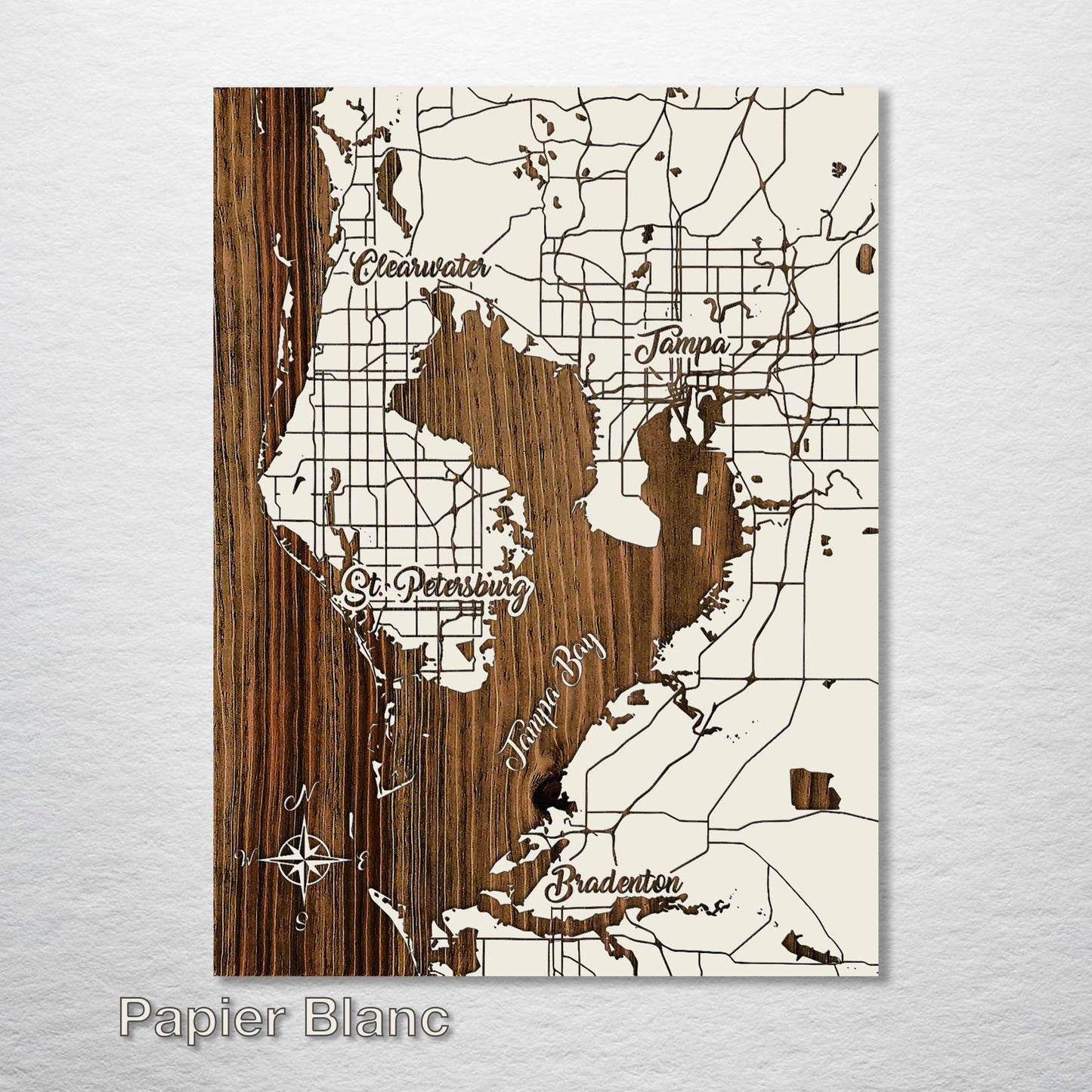 Tampa, FL Whimsical Map