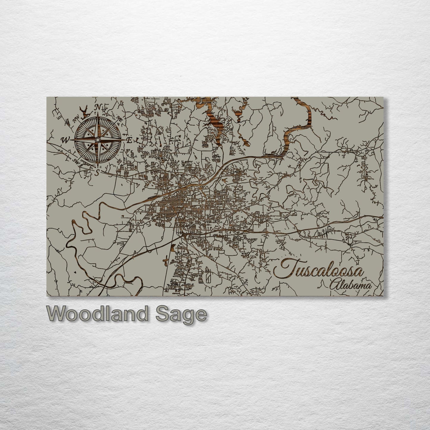 Tuscaloosa, Alabama Street Map